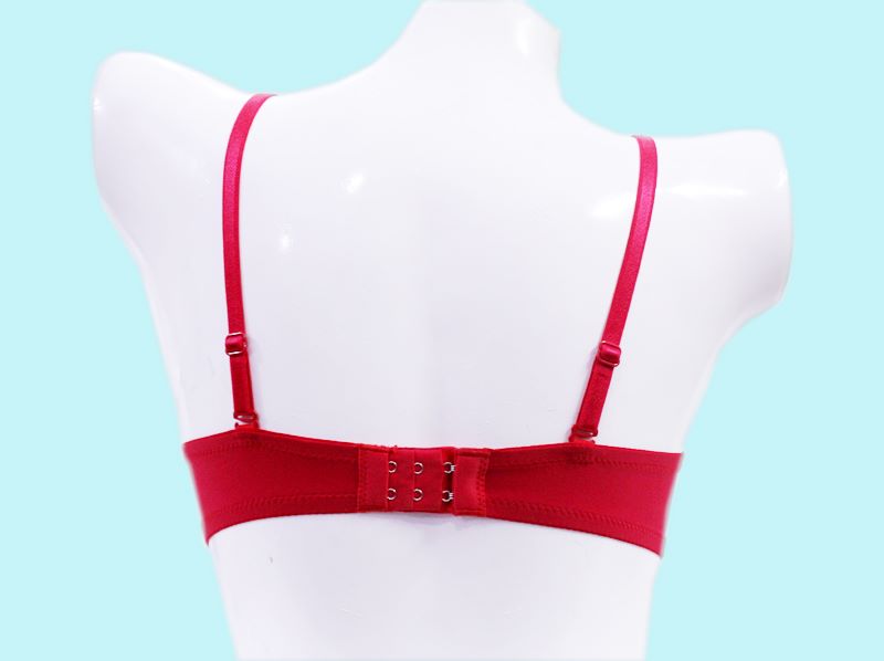 Perfect Lift Padded Wired Push-up Bra 939