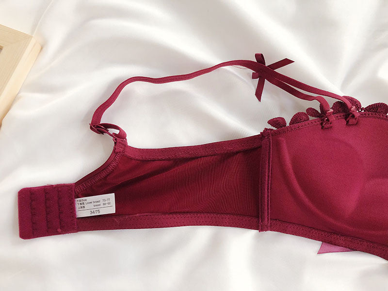 Cute Lace Flower Embroided High Quality Back Closure Adjustable Straps Bra & Panty Set