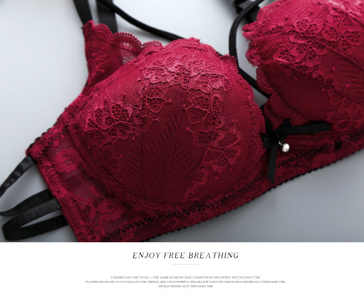 Push Up Padded Lace Bra And Panty Set Back Closure Seamless Lingerie Set 9901