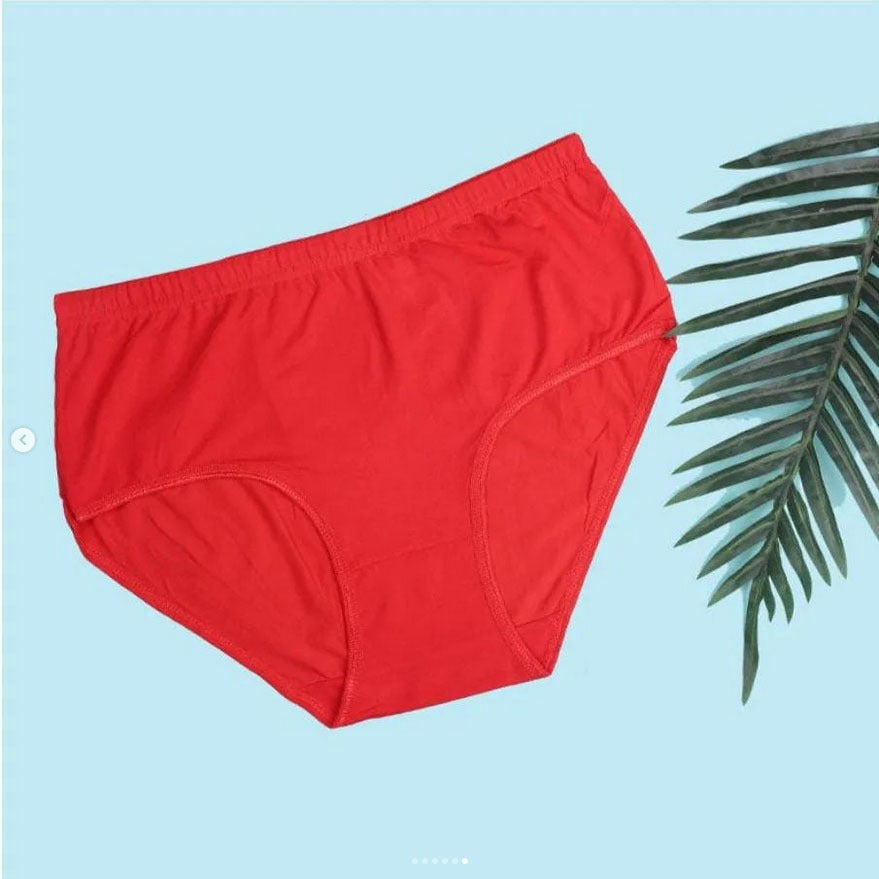 Budget Pack Comfortable Cotton Brief Women Seamless Underwear Panties