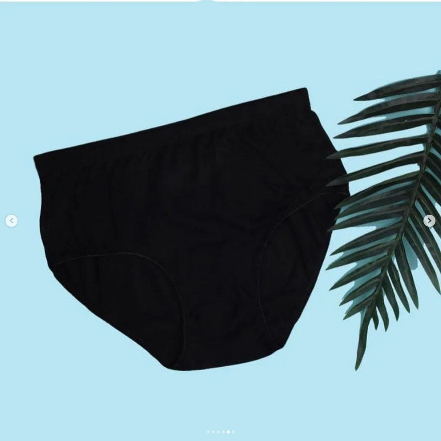 Budget Pack Comfortable Cotton Brief Women Seamless Underwear Panties