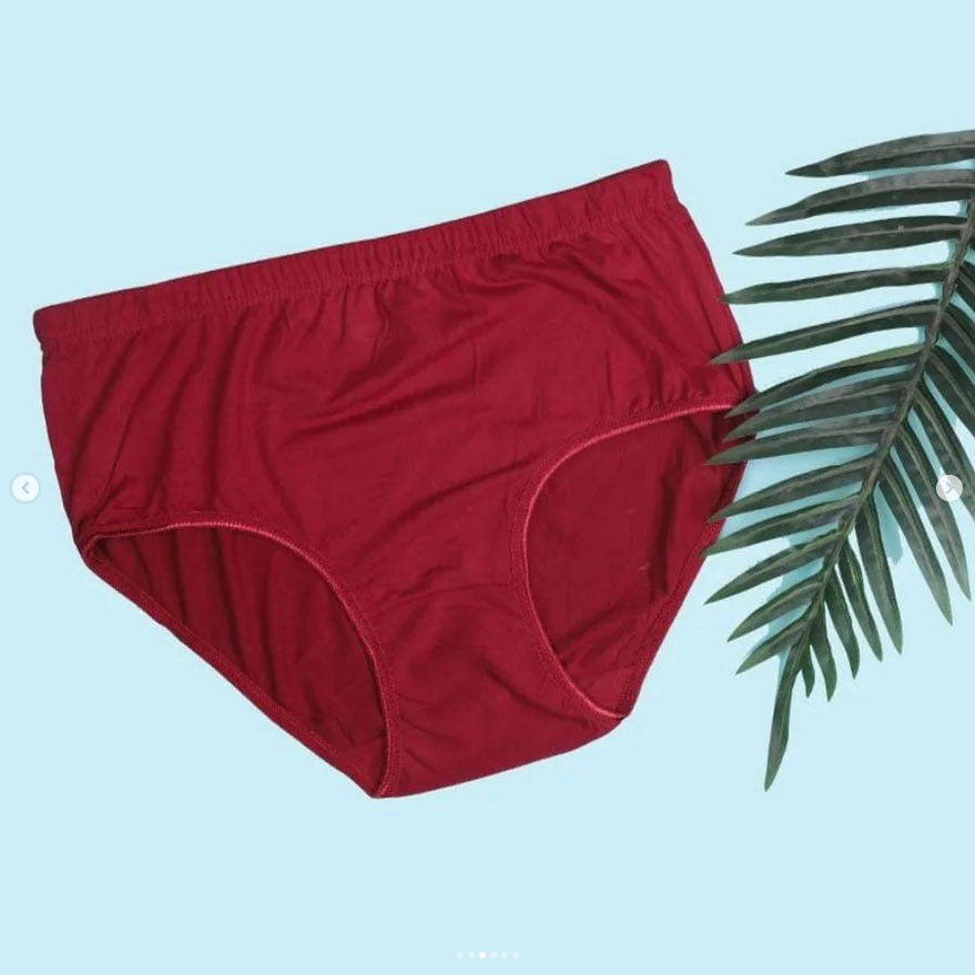 Budget Pack Comfortable Cotton Brief Women Seamless Underwear Panties